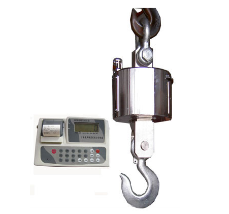 帶打印機(jī)的電子吊秤